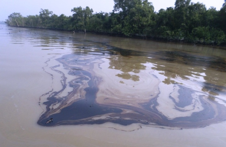 The floating layer of oil is spreading via the river ways.